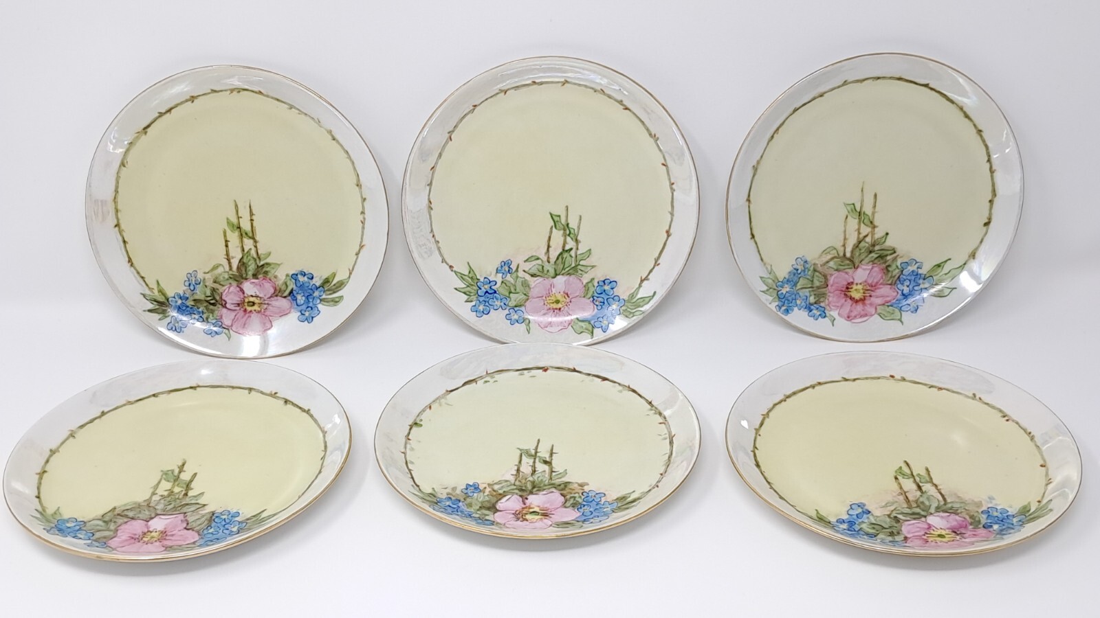 Hutschenreuther 6″ Porcelain Plates set of 6 handpainted florals lustre rim Selb