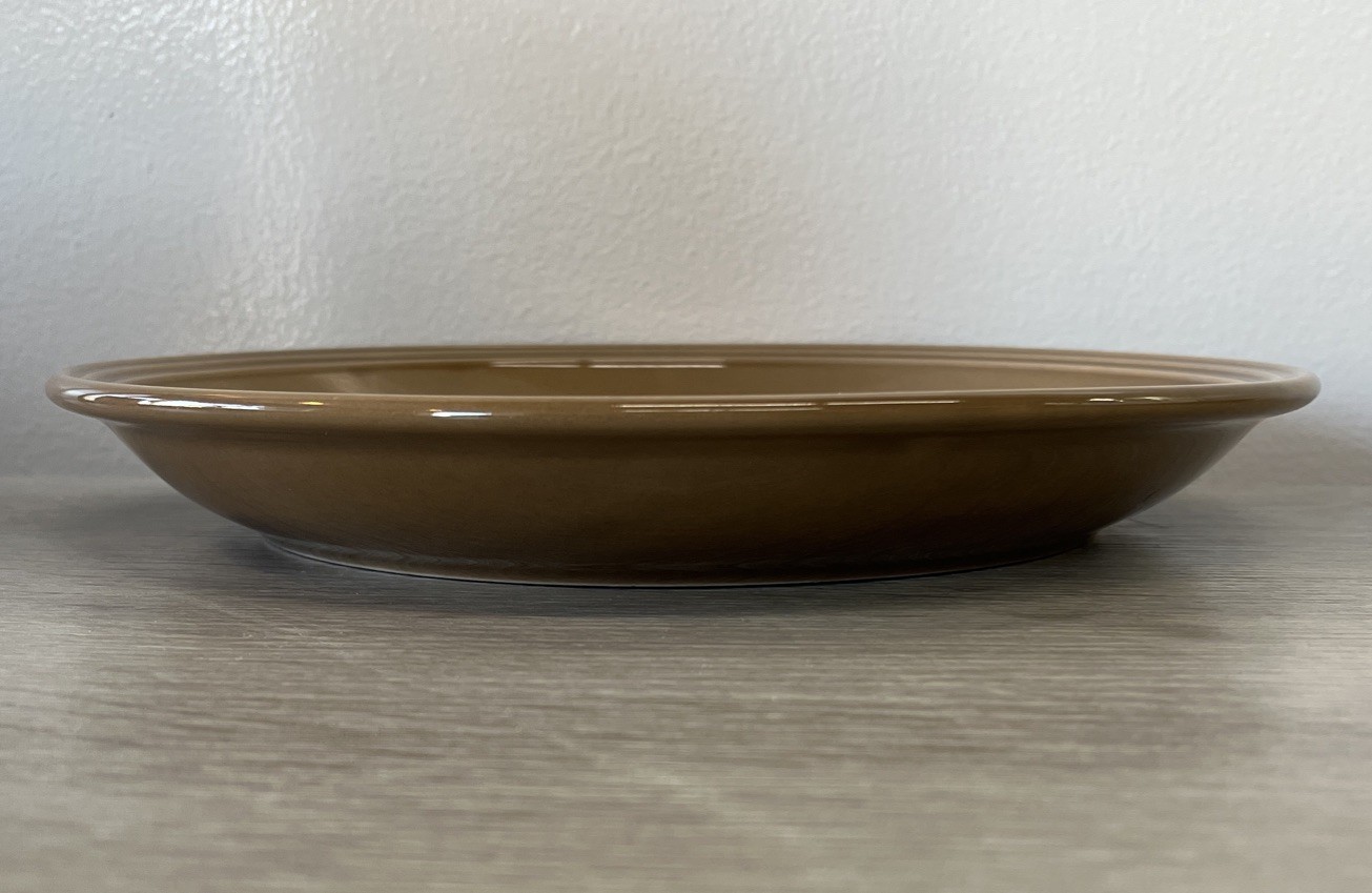 2 Mainstays Light Brown Dinner Plates 10 1/2 Inches Diameter