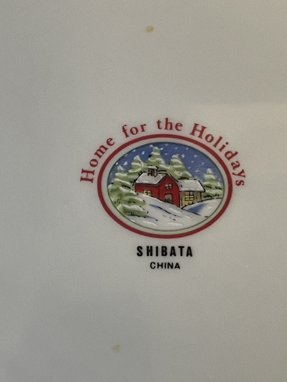 Shibata HOME FOR THE HOLIDAYS 16 Piece Set Dishes ~ 4 Place Settings