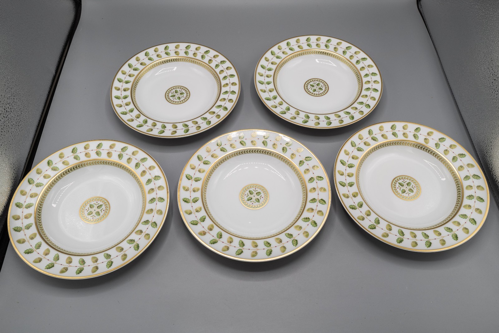 Bernardaud Limoges Constance Rimmed Soup Bowls 8 3/4″ Set of 10 – FREE USA SHIP
