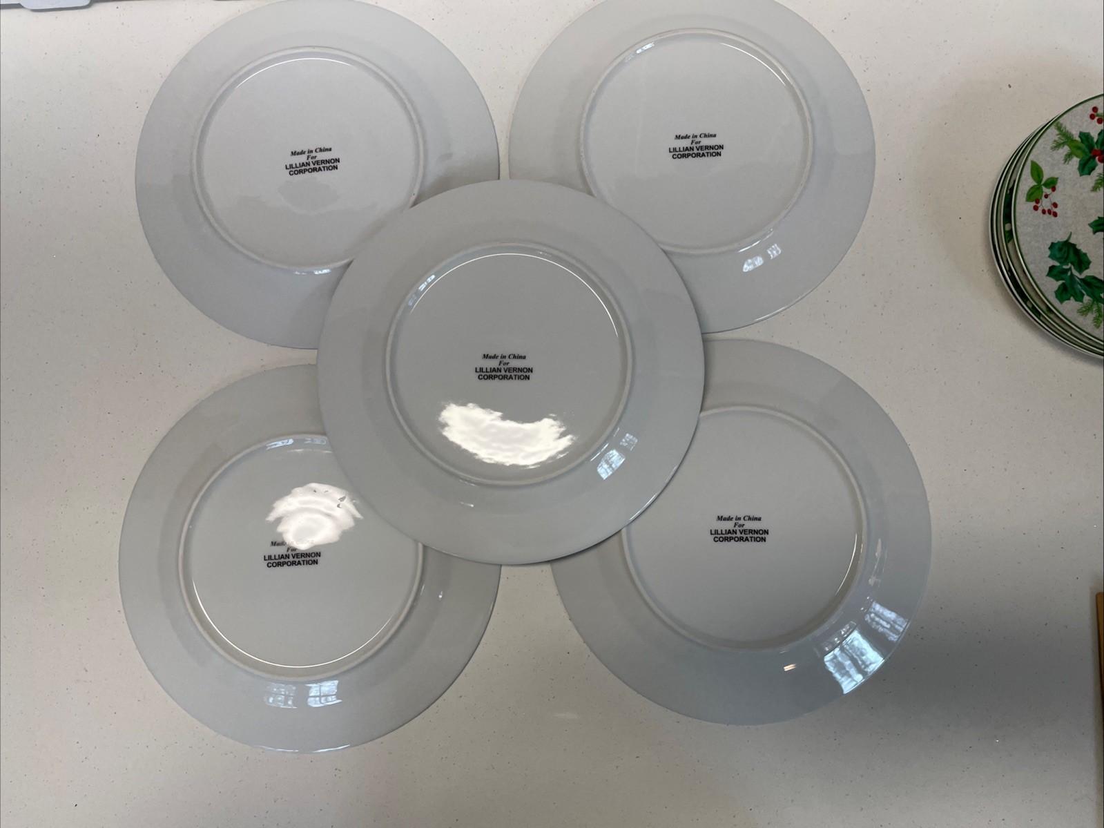 Lillian Vernon Hollies & Berries LV17 Dinner & Salad Plates