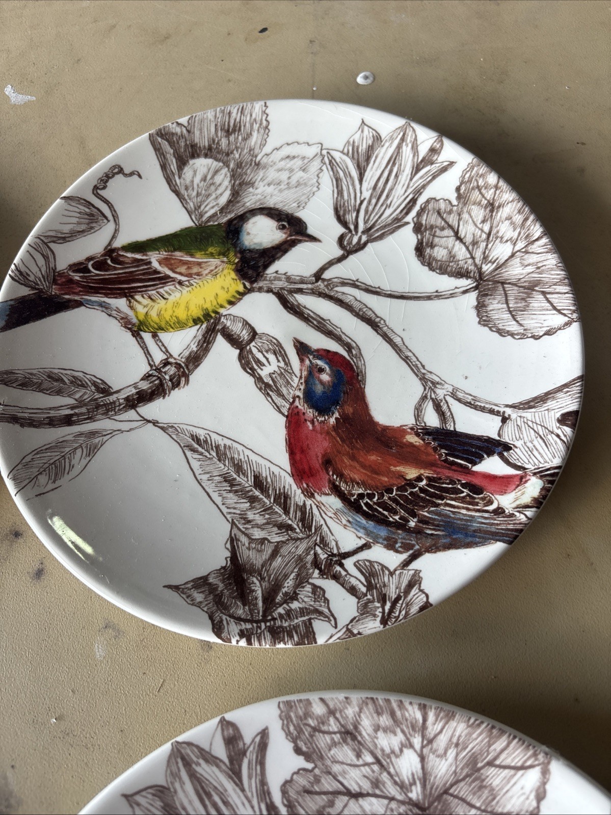 William And Sonoma Botanical Birds 2012 6 Luncheon /dessert Plates