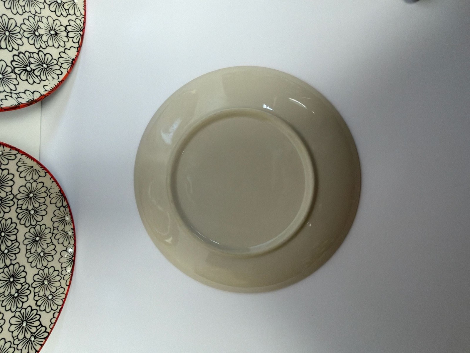 Yokohama Studio Hand Painted Daisy Floral Pattern Plates with Red Rim – Set of 3