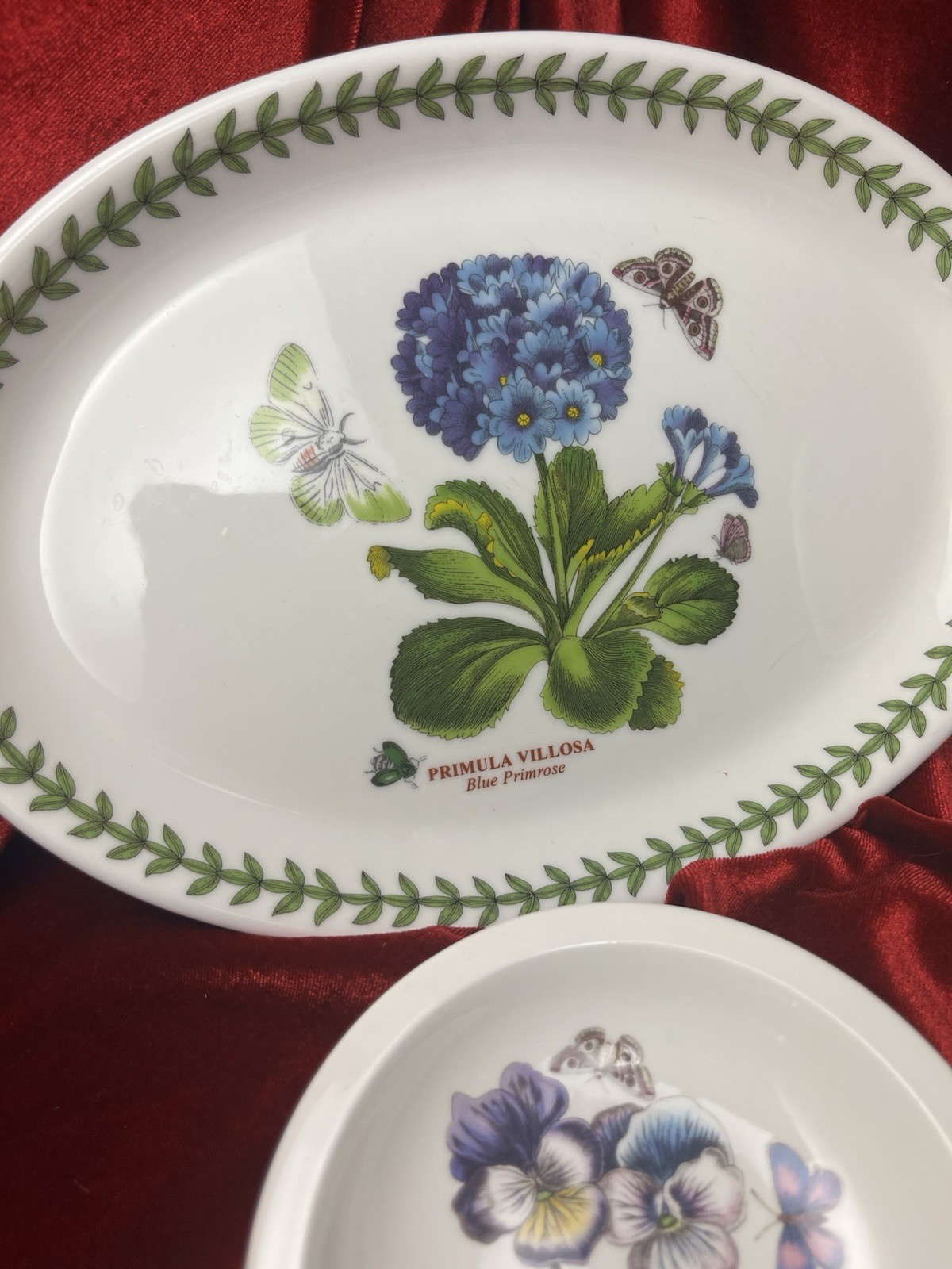 Portmeirion Botanic Garden Lot (4) Pc Set 2 Oval Plates 2 Saucer Dip Plates