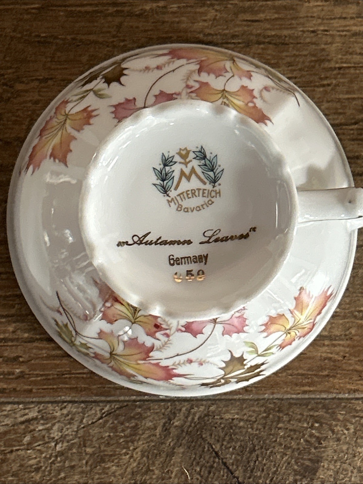 Mitterteich Bavaria Tea Coffee Cup Saucer Autumn Leaves Gold Pink Footed