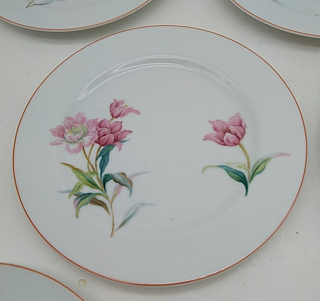 6 Noritake Pink Floral Salad or Dessert Plates White Pink Green Leaves Vintage
