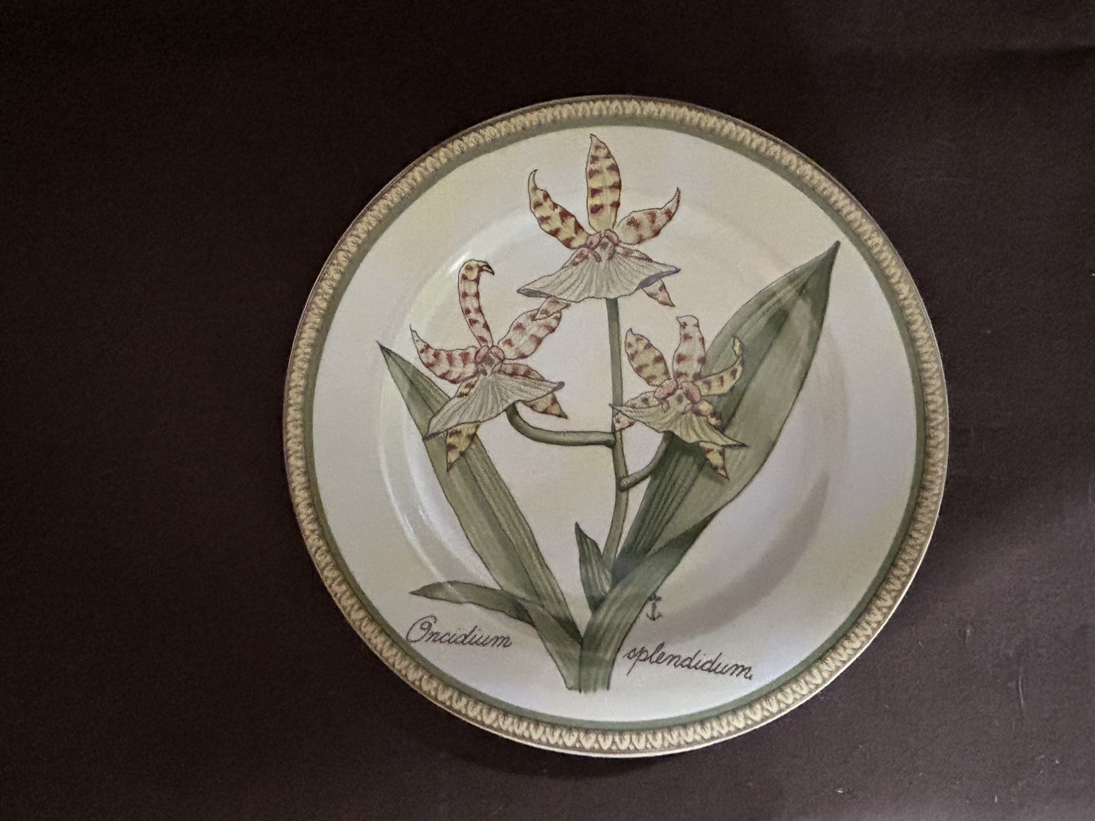 Vintage American Atelier Botanical 8″ Decorative Plates Orchid & Iris Set Of 4