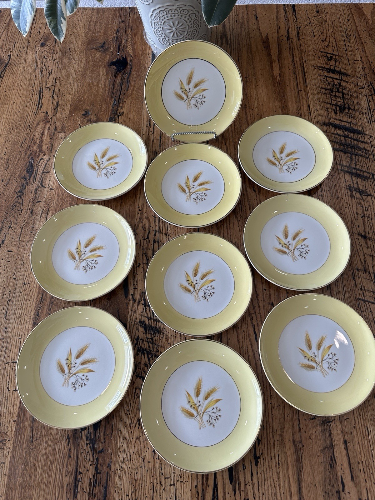 Set of (10) Vintage Century Service AUTUMN GOLD 7.25″ Salad/Dessert/Bread Plates