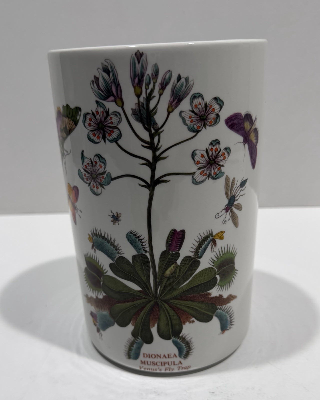 Botanic Garden Dionaea Muscipula Venus Fly Trap ~ Utensil Holder 7.5” Tall EUC