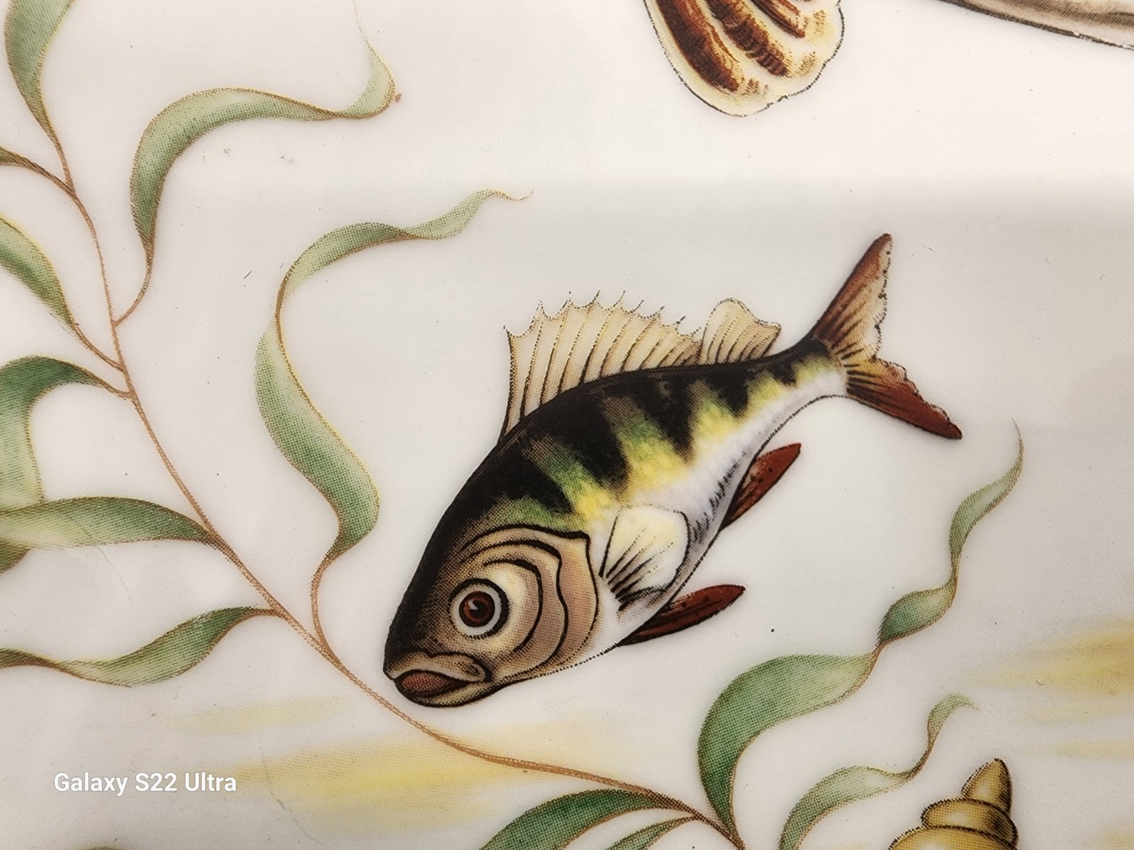 Antique Find Porcelain Limoges France Fish Platter 13.5″ Giraud Nankin