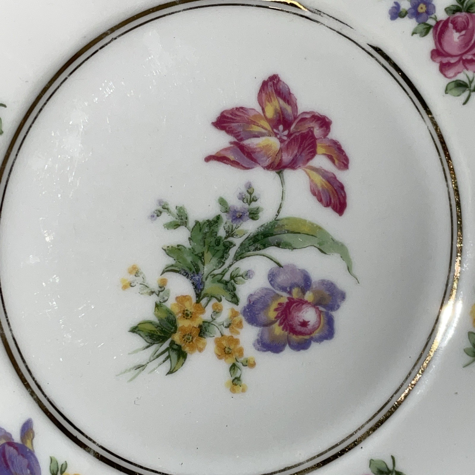 Raynaud Limoges Dresden Floral Style 6 bread dessert Plates 6 1/4” Gimbel bros.
