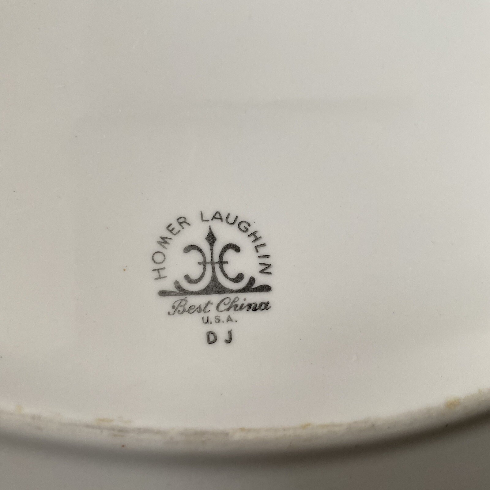 Vintage Homer Laughlin Best China Oval Serving Platter American Rose 1963