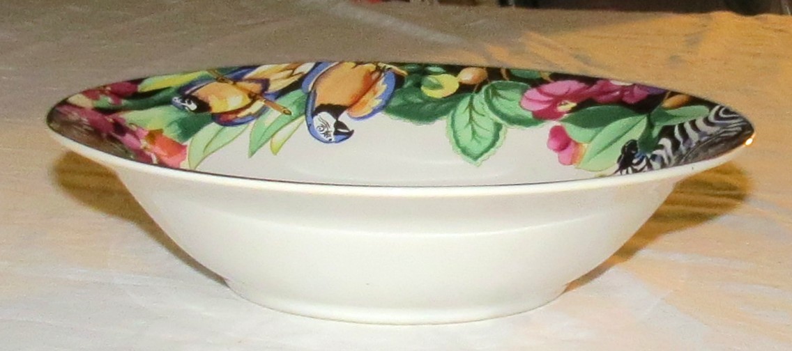 Vitromaster Rain Forest pattern by Sue Zipkin FIFTEEN pieces Plates, Bowl, Mugs