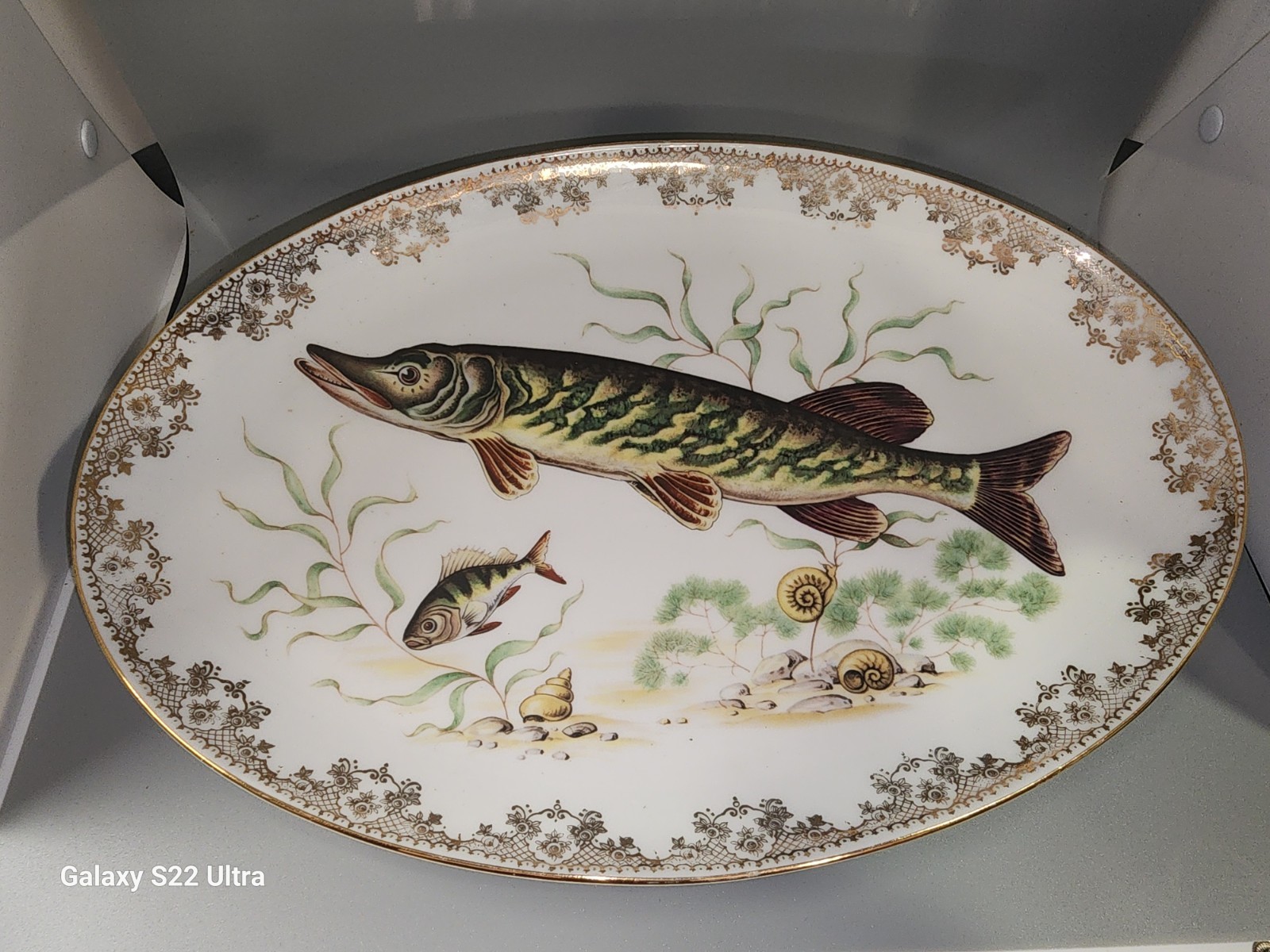 Antique Find Porcelain Limoges France Fish Platter 13.5″ Giraud Nankin