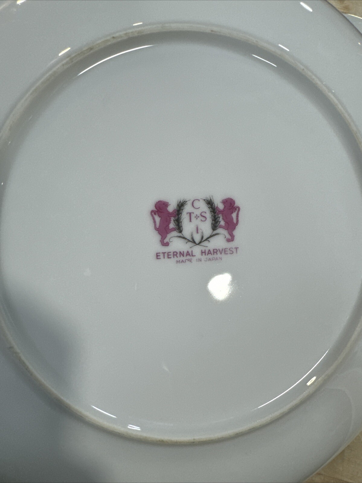 Set Of 3 Correct Table Service Eternal Harvest 10 3/8″ Dinner Plate
