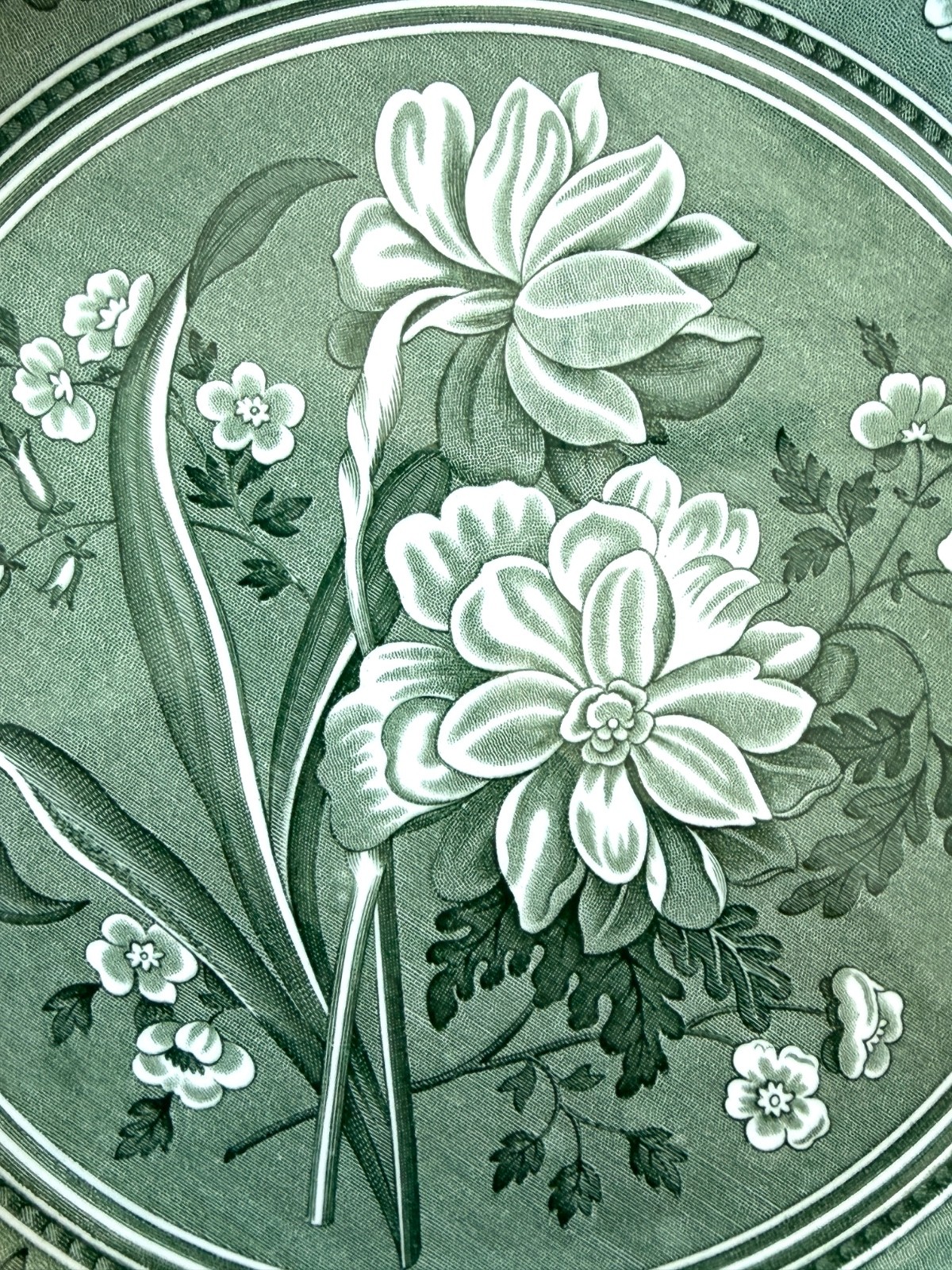 Spode Green Botanical Plate Georgian Series Archive Collection England 10 1/2″