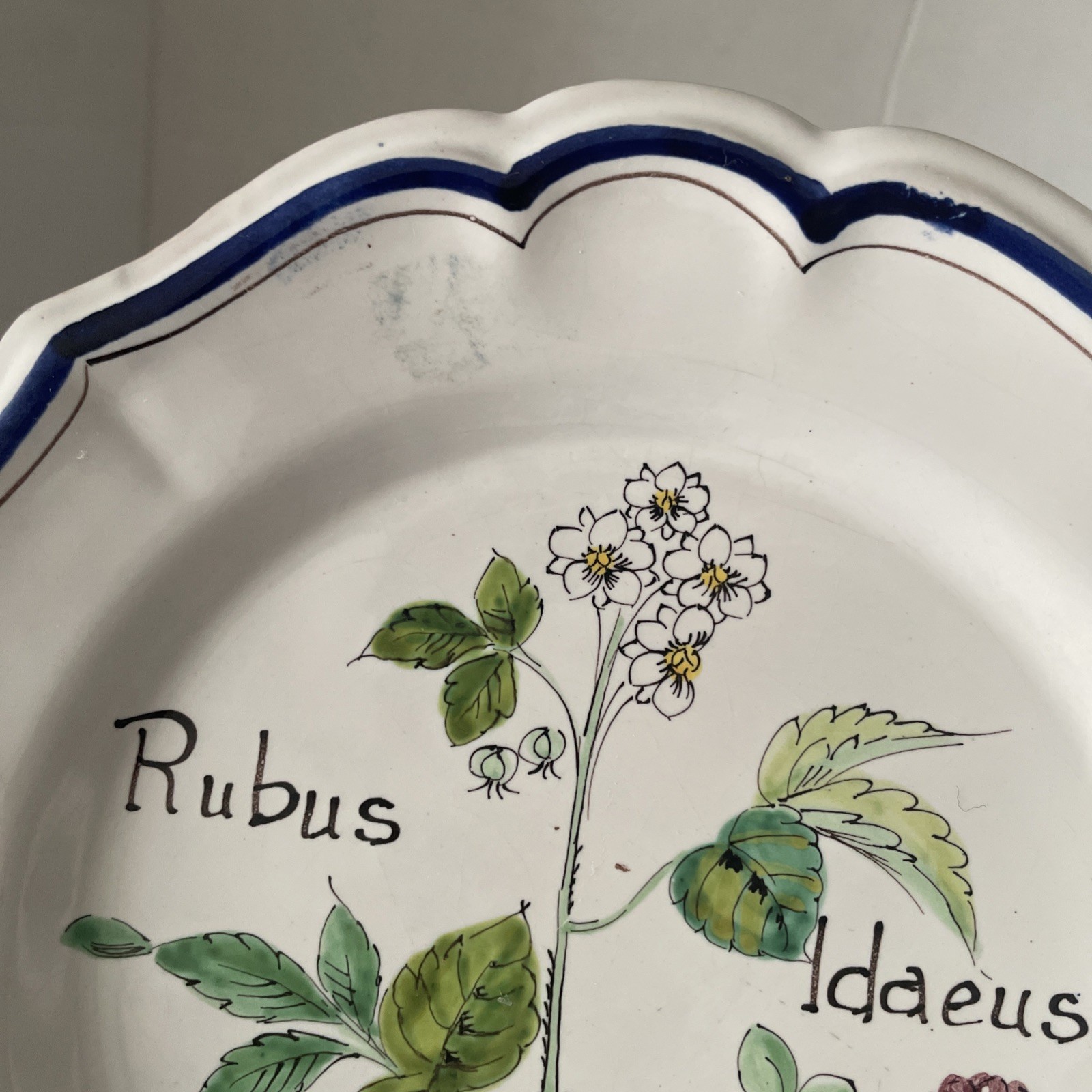 Vintage ND Dolfi Montelupo Italy Floral Wall Plates Set of 2