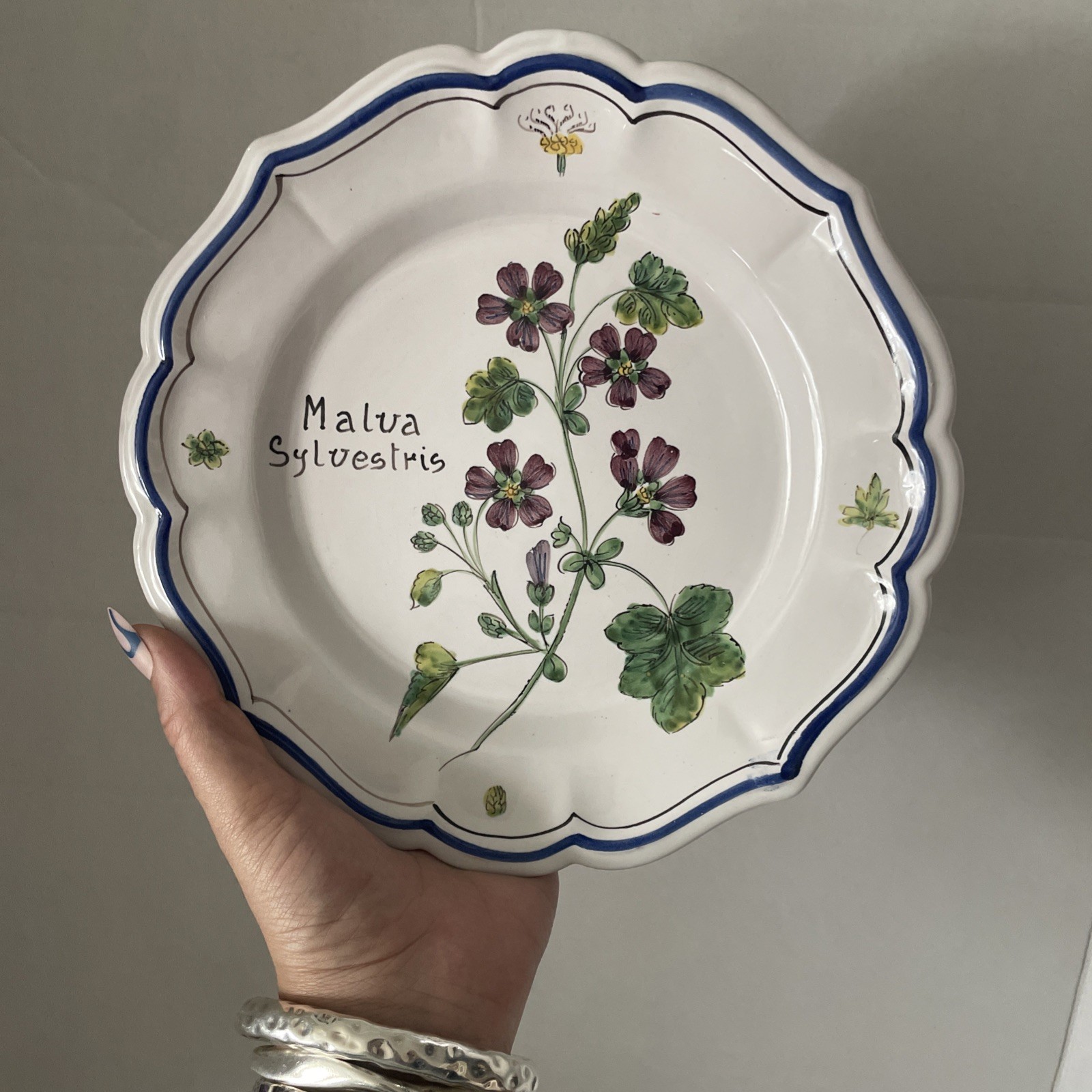 Vintage ND Dolfi Montelupo Italy Floral Wall Plates Set of 2