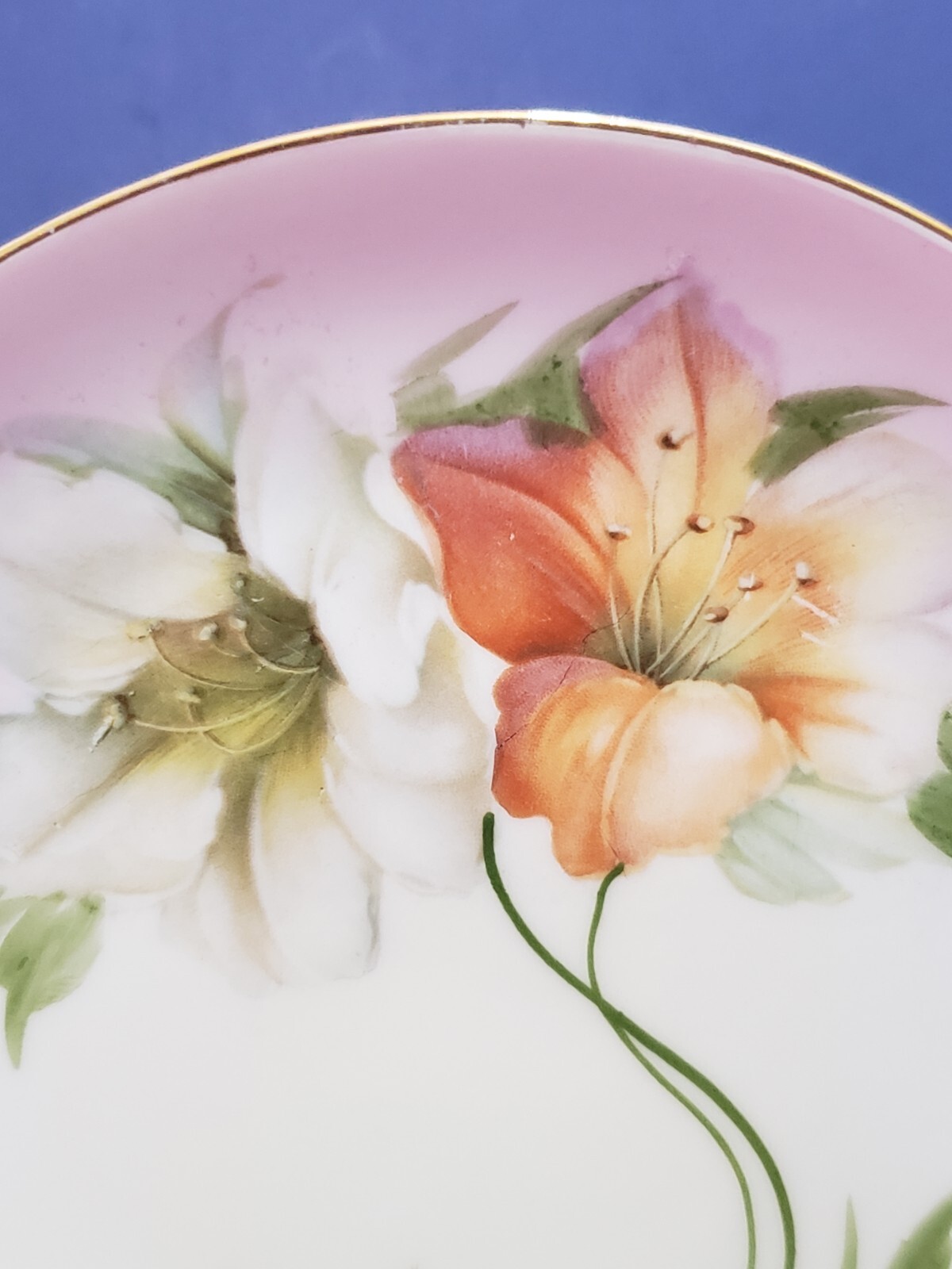 Two Antique Vintage Bavarian Plates Z.S. & Co Hand Painted Porcelain 1880- 1918
