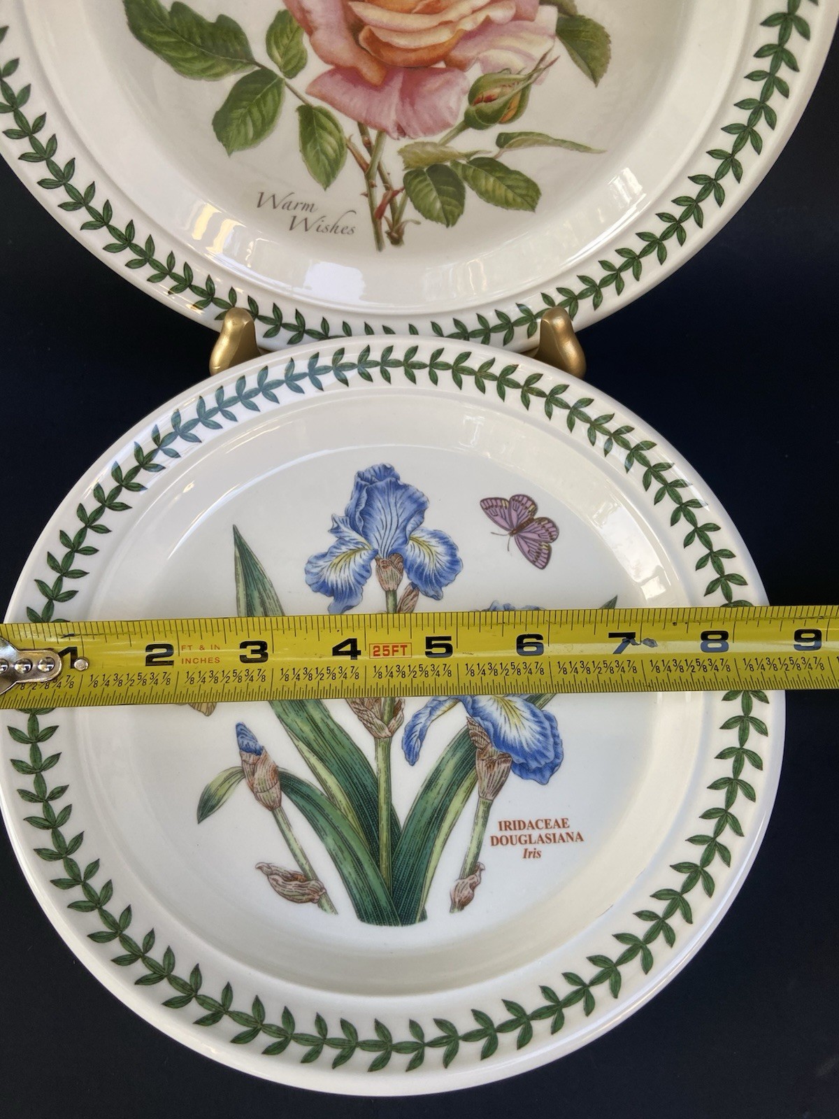6 Portmeirion Botanic Garden Salad Plates Britain Roses Butterflies 8-1/2”