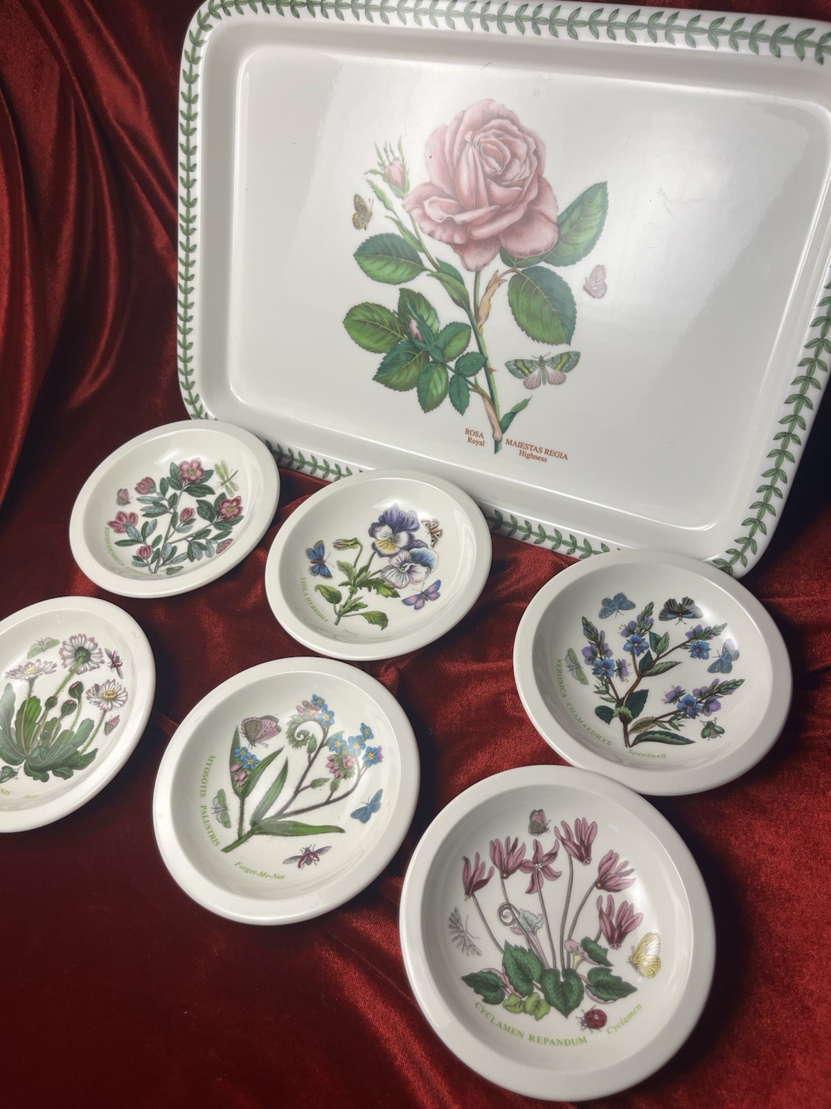 Portmeirion Botanical Garden Dish Set Platter Server And 6 Dip Plate Saucer Rose