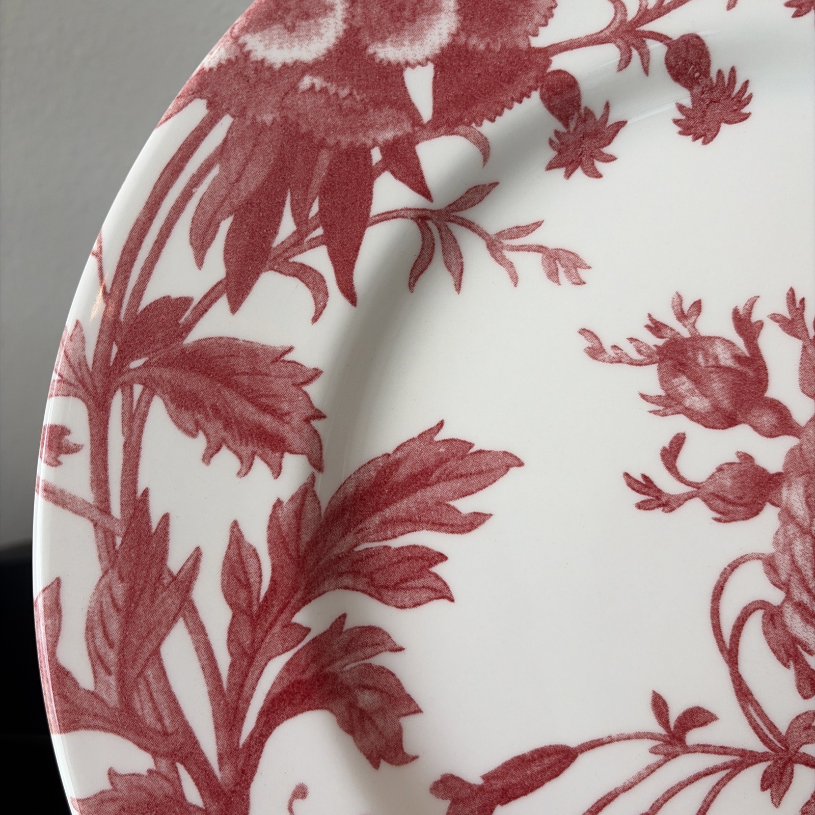 Royal Stafford Floral Weave Coral Red Large Dinner Plate 11”