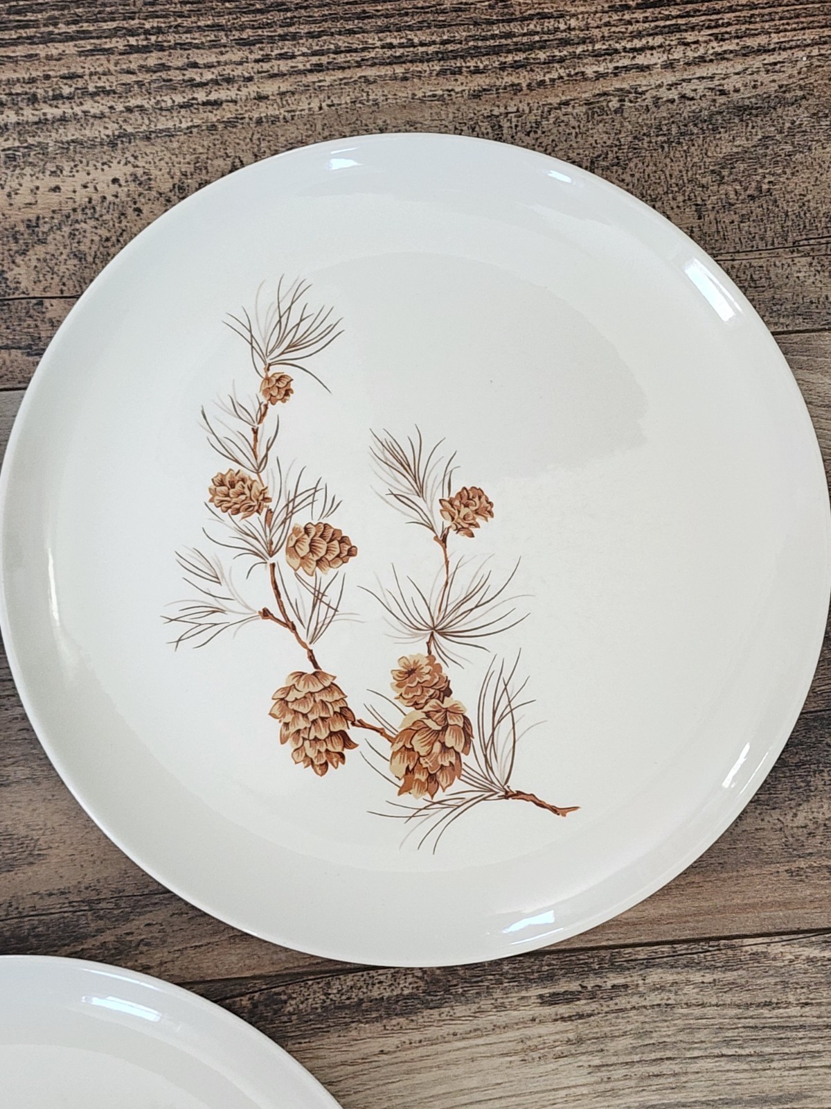 Harmony House Mocha Pine Dinner Plates | Set of 3 | Pinecones | 10″