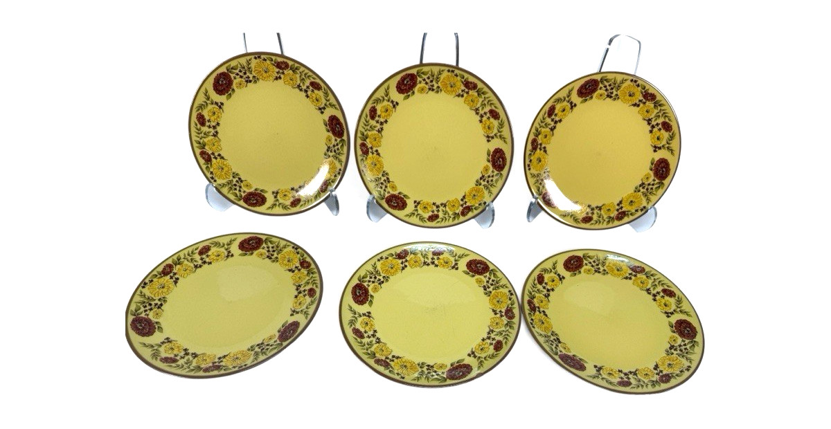 Set of 6 Taylor Smith & Taylor Design 70 Indian Summer Salad Plate 8.25″ MCM VTG