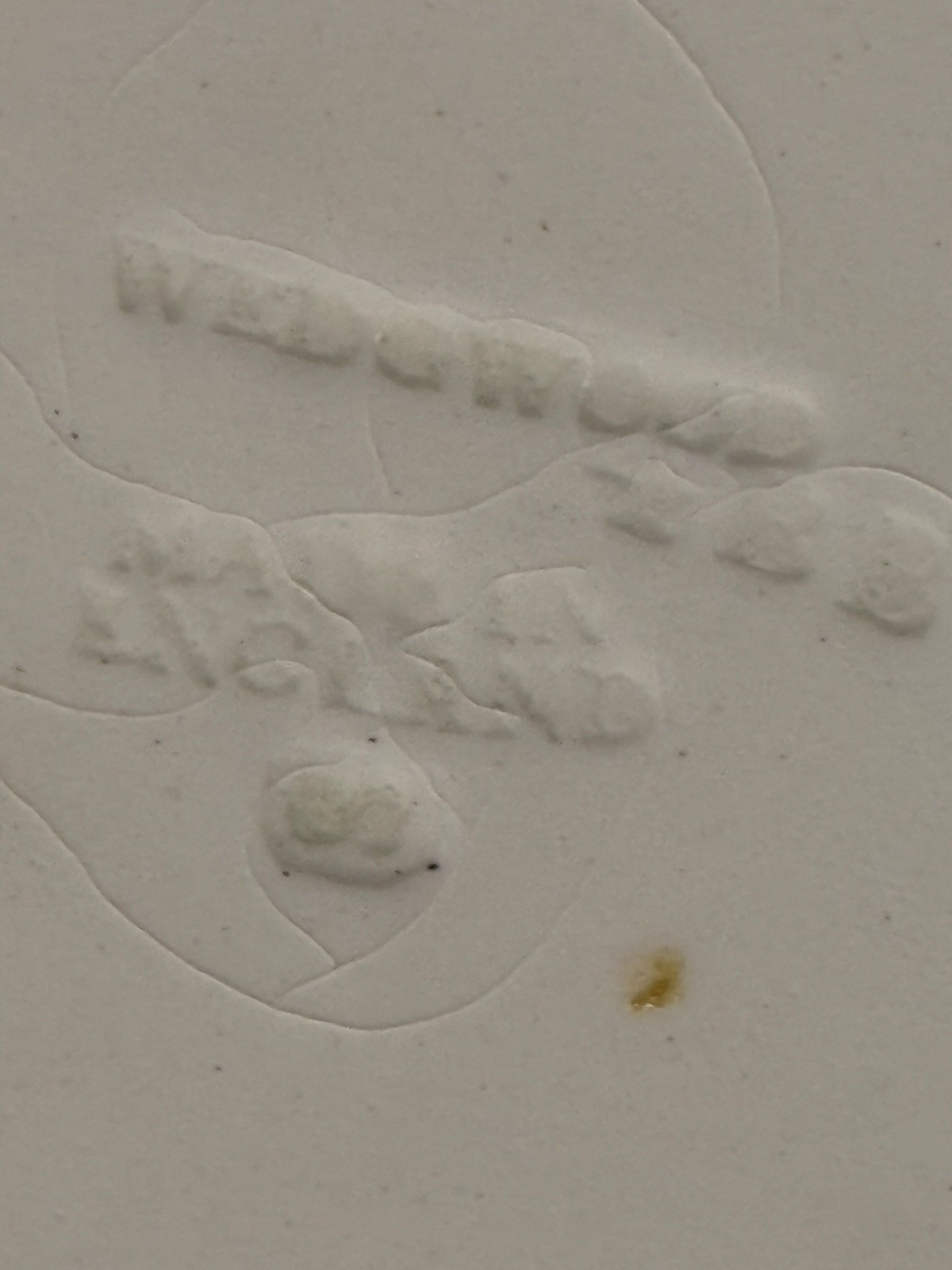 2 Wedgwood QUEENSWARE Embossed 10.25″ DINNER PLATES 1969 Vintage Vine Garland