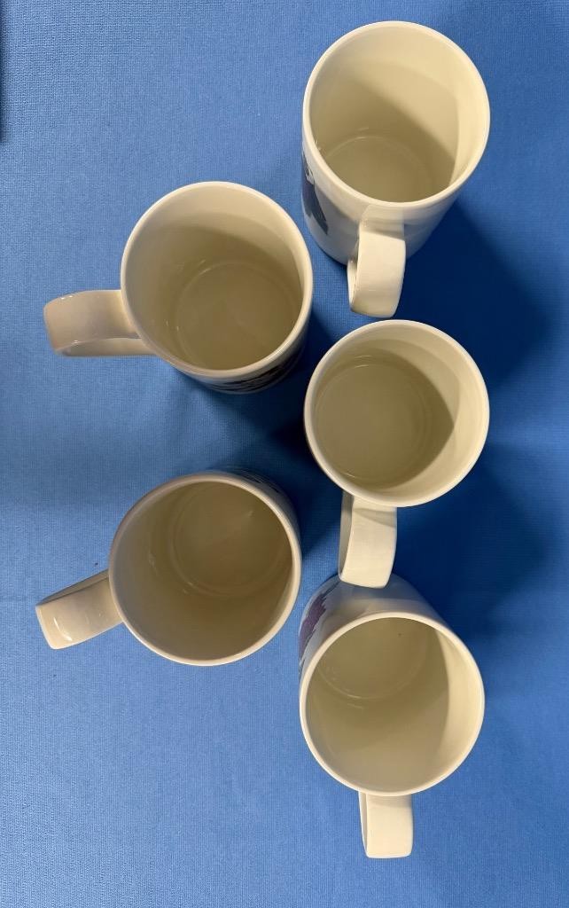 Lot of 5 Portmeirion Pomona Goddess of Fruit Coffee Mugs Cups – All Different