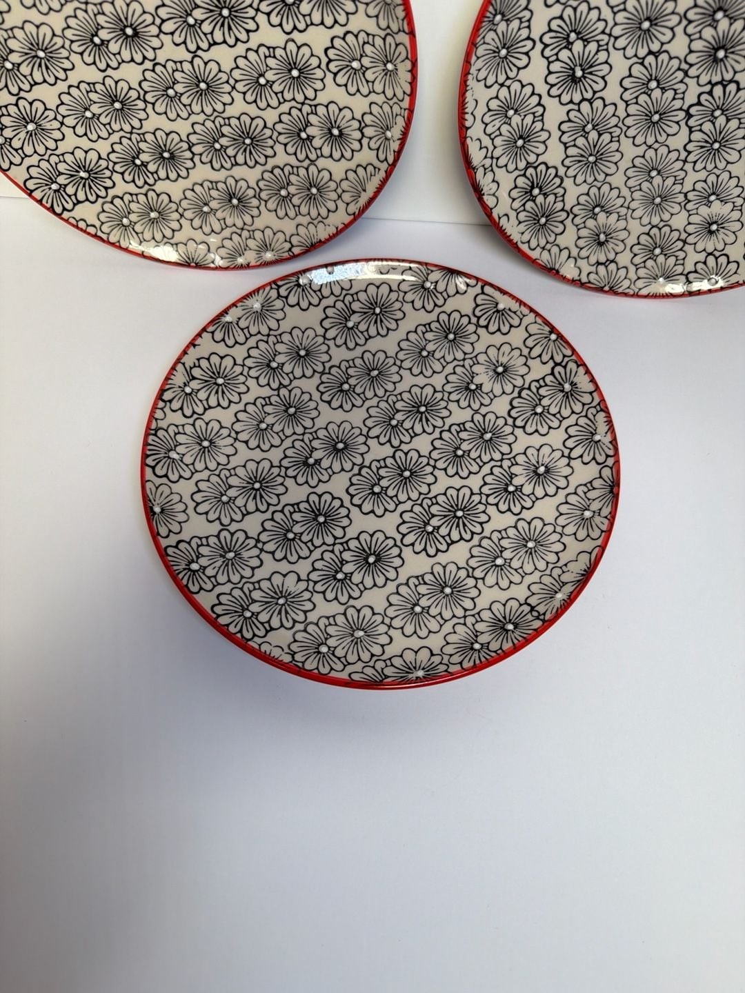 Yokohama Studio Hand Painted Daisy Floral Pattern Plates with Red Rim – Set of 3