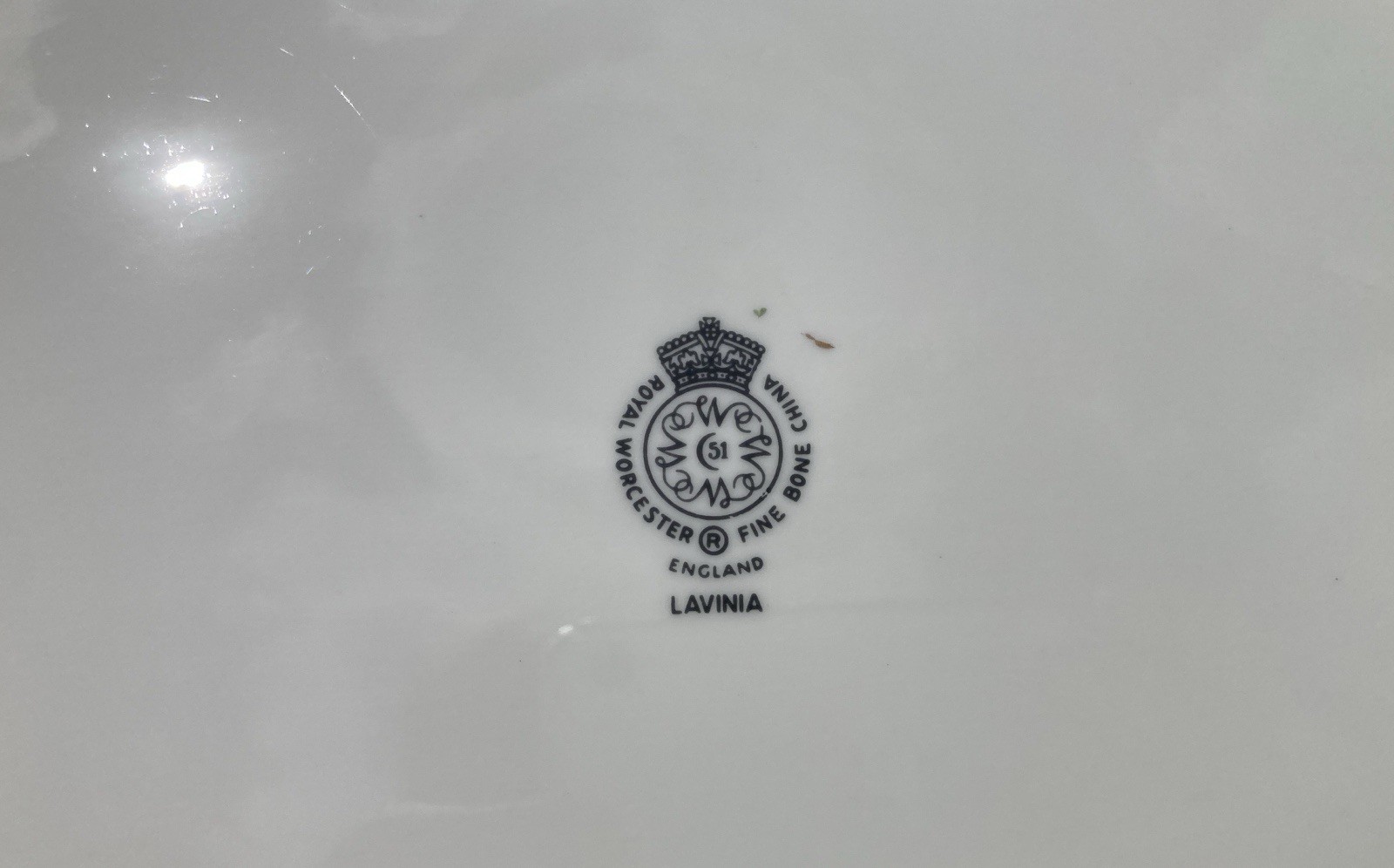 Royal Worcester Lavinia 15.5” Oval Platter Ivory England Blackberry