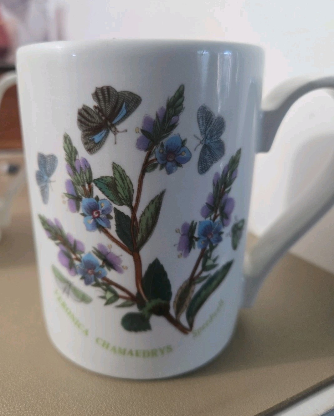 VTG Portmeirion Botanic Garden Drum Mugs (2) Rhododendron & Veronica Speedwell