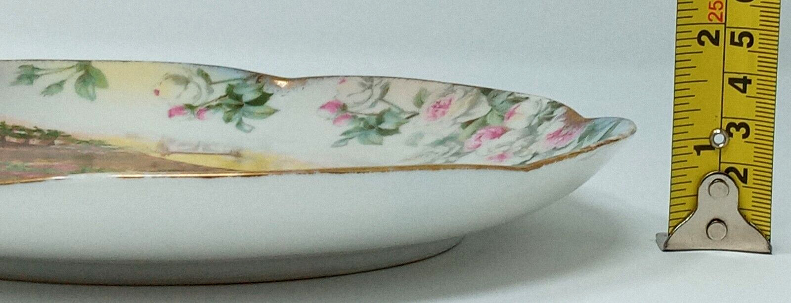 JHR Alice Bavaria Hand Painted 8″ Charger porch scene apple tree flowers euc