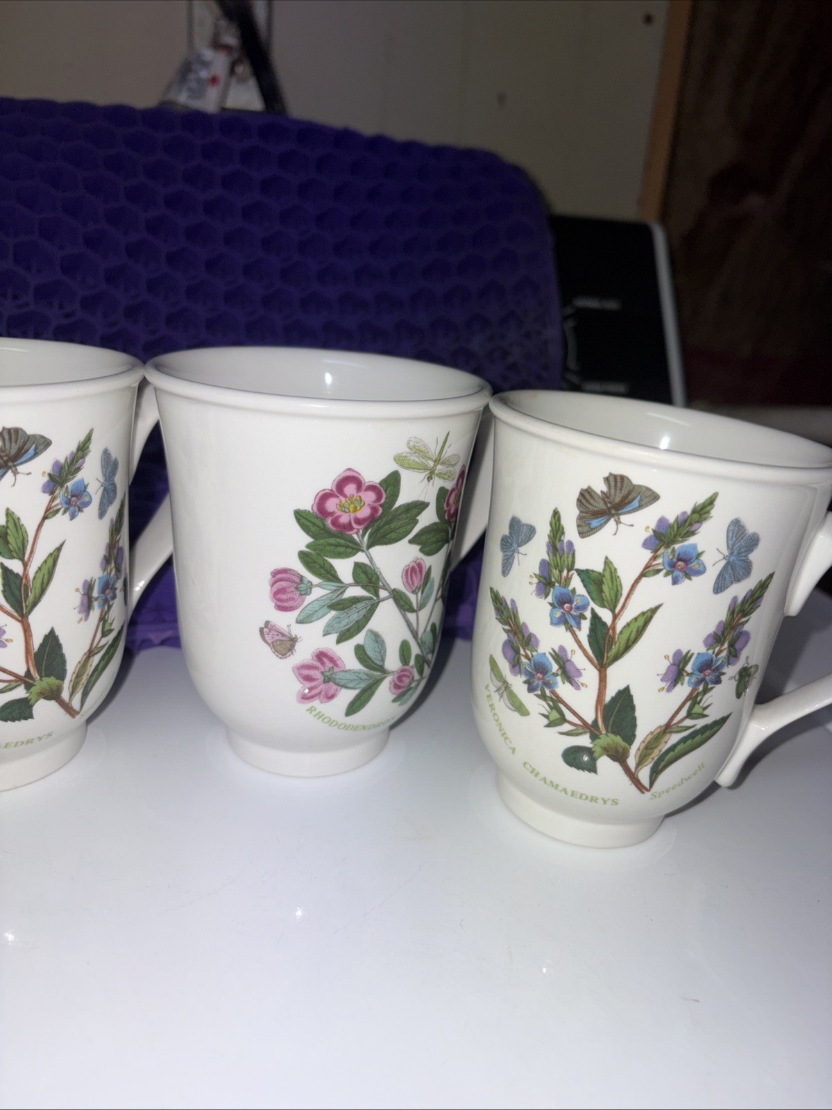 portmeirion botanic garden Mugs (5)