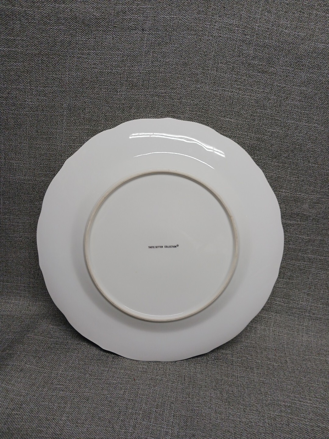Taste Setter Collection Imperial Vine 10 3/8” Dinner Plate Vines Insects