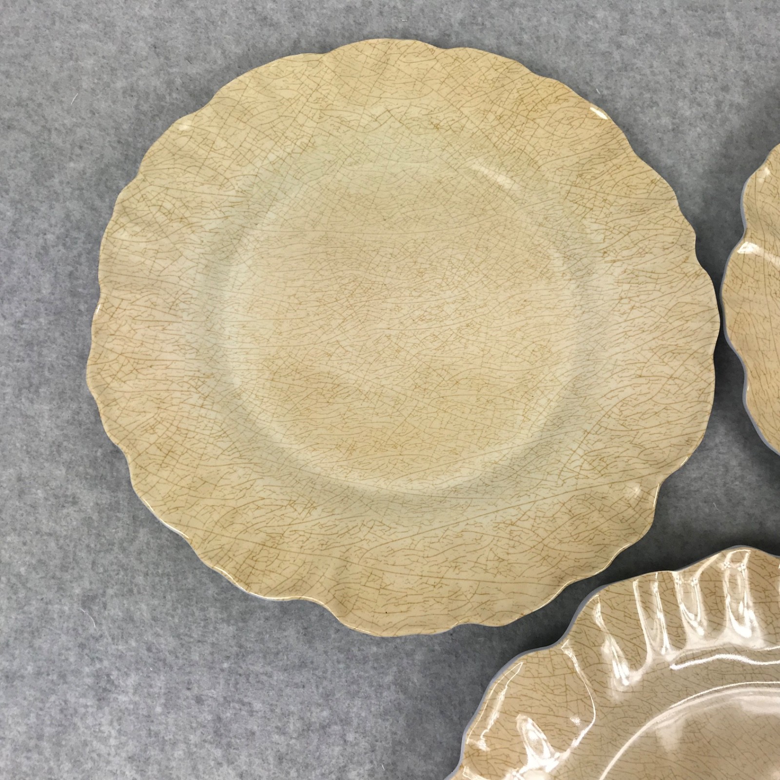 MERRITT Melmine Succulent Garden Mocha Dinner Plates Set of 6 Beige/Golden