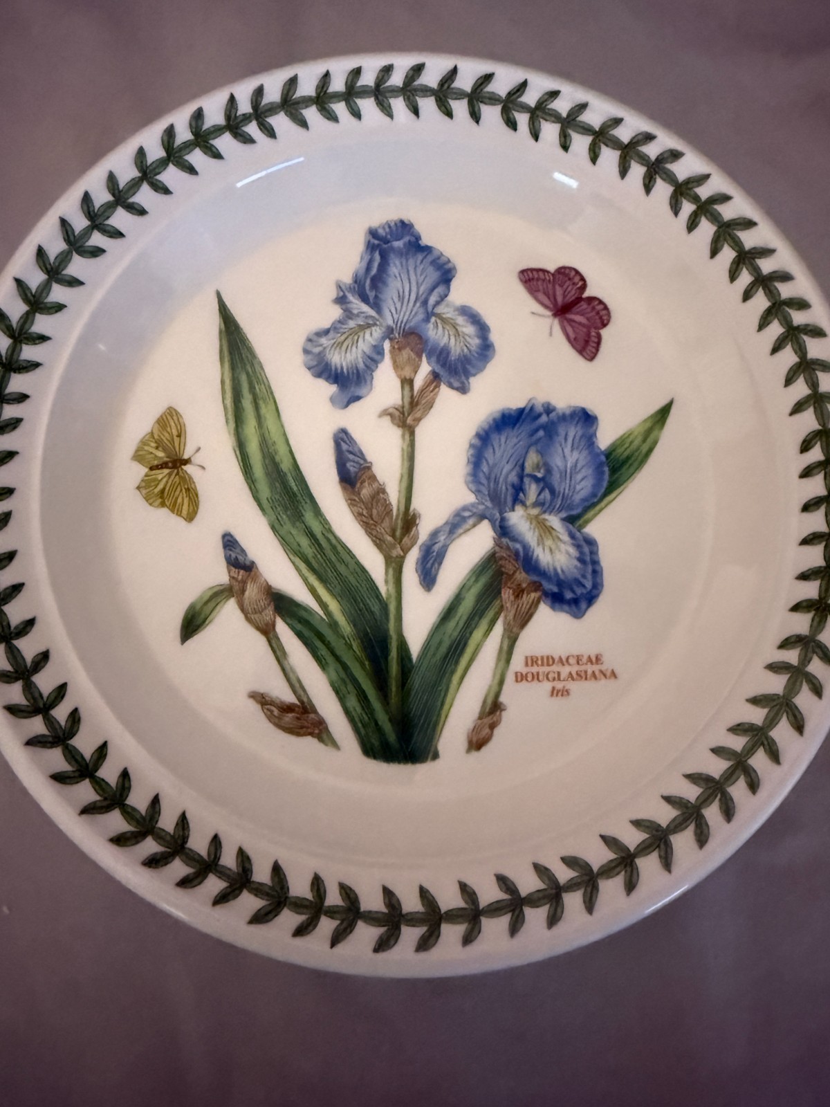 Portmeirion Botanic Garden Salad Plate Lunch England