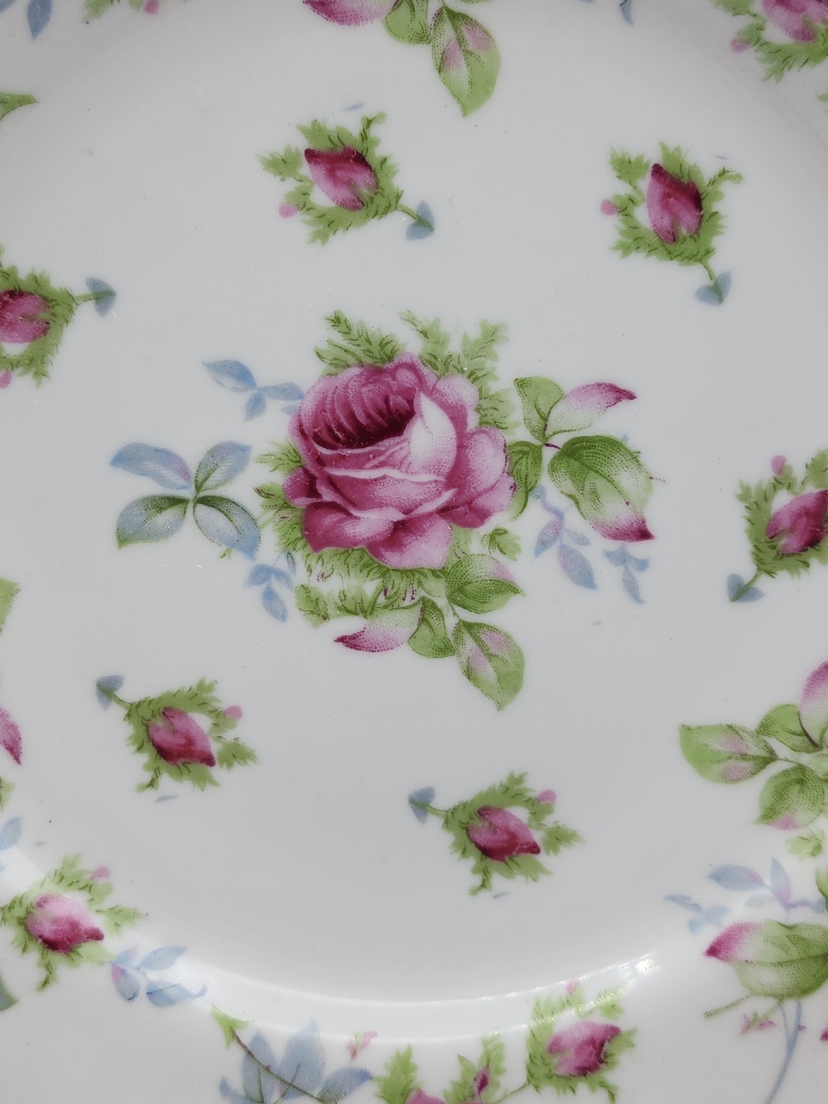 Lefton Elegant Rose Hand Painted Salad Plates ca 8 1/4″ Diameter Set of 6
