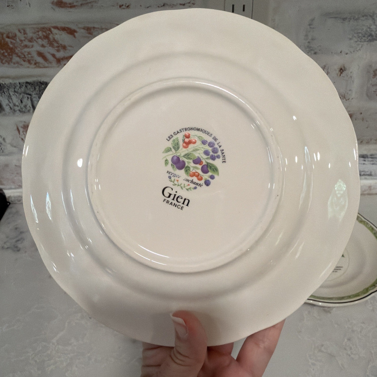 6 VTG Gien China France Les Gastronomiques de la Sante Salad Dessert Plate Set