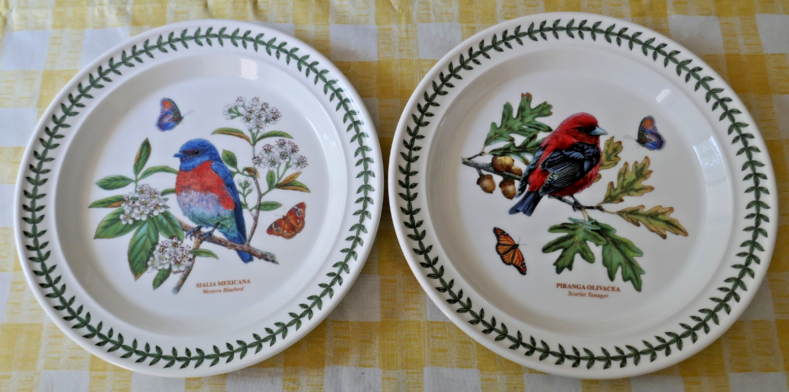 Portmeirion Botanic Garden Birds Dinner Plates Scarlet Tanager Western Bluebird