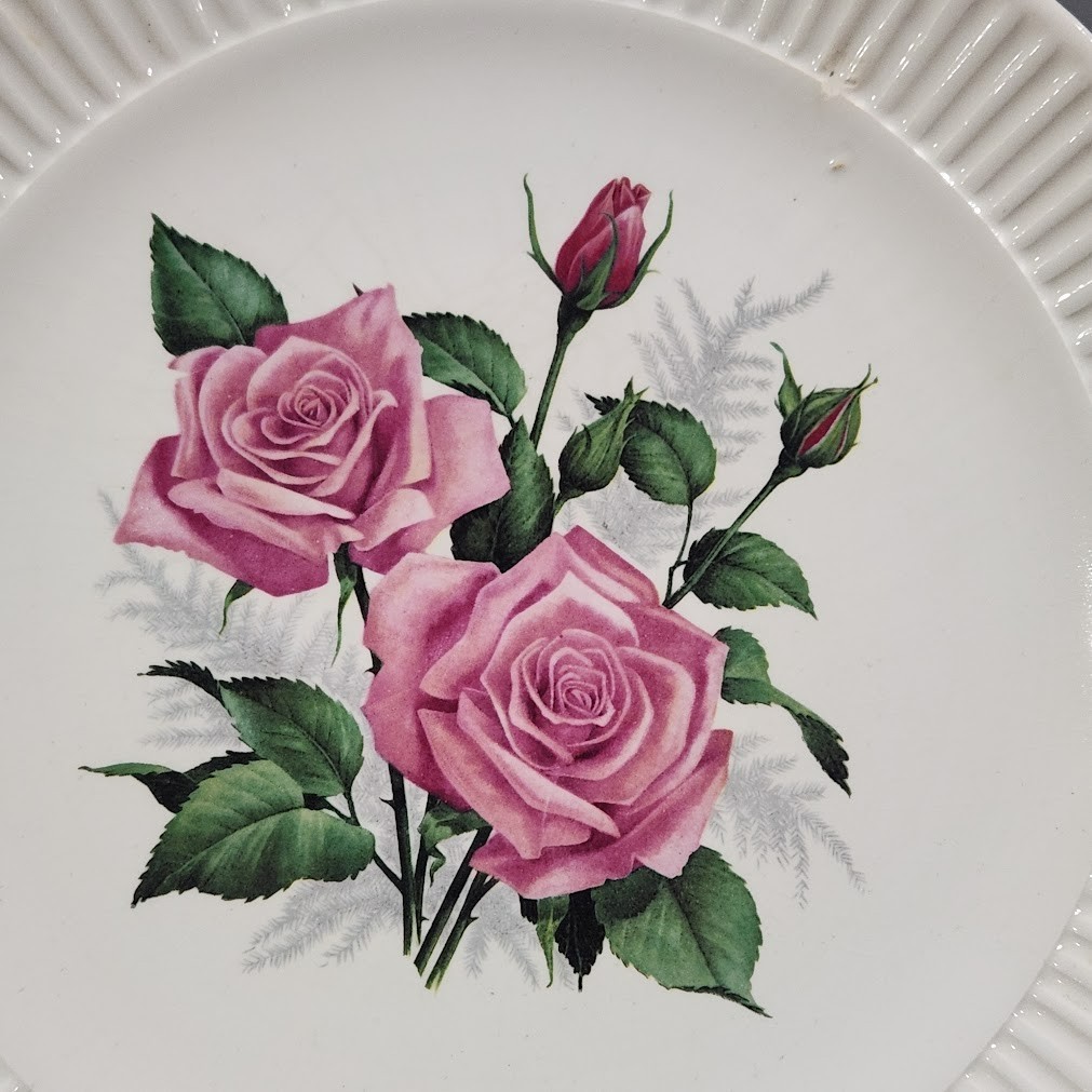 vtg 5 dinner plates 9″ ceramic white pink rose edge ribbed Cottage Decor wall