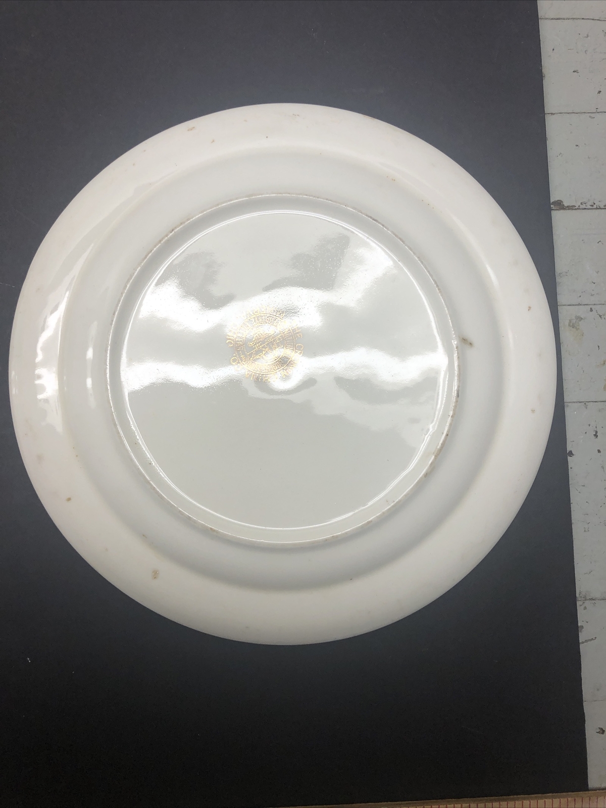 minerva China Company dinner Plates