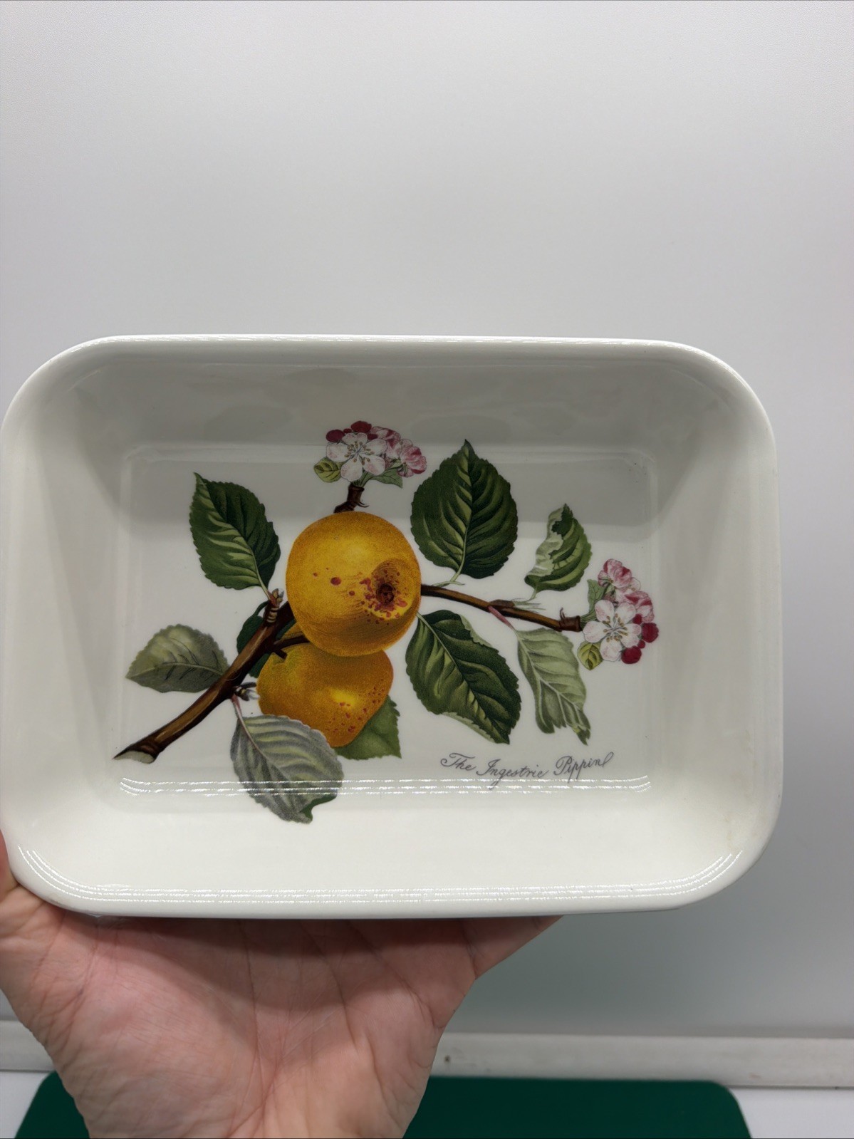 Portmeirion Pomona Pan 8.5″ Pippin Leaves Blooms Fruit Discontinued EXC+