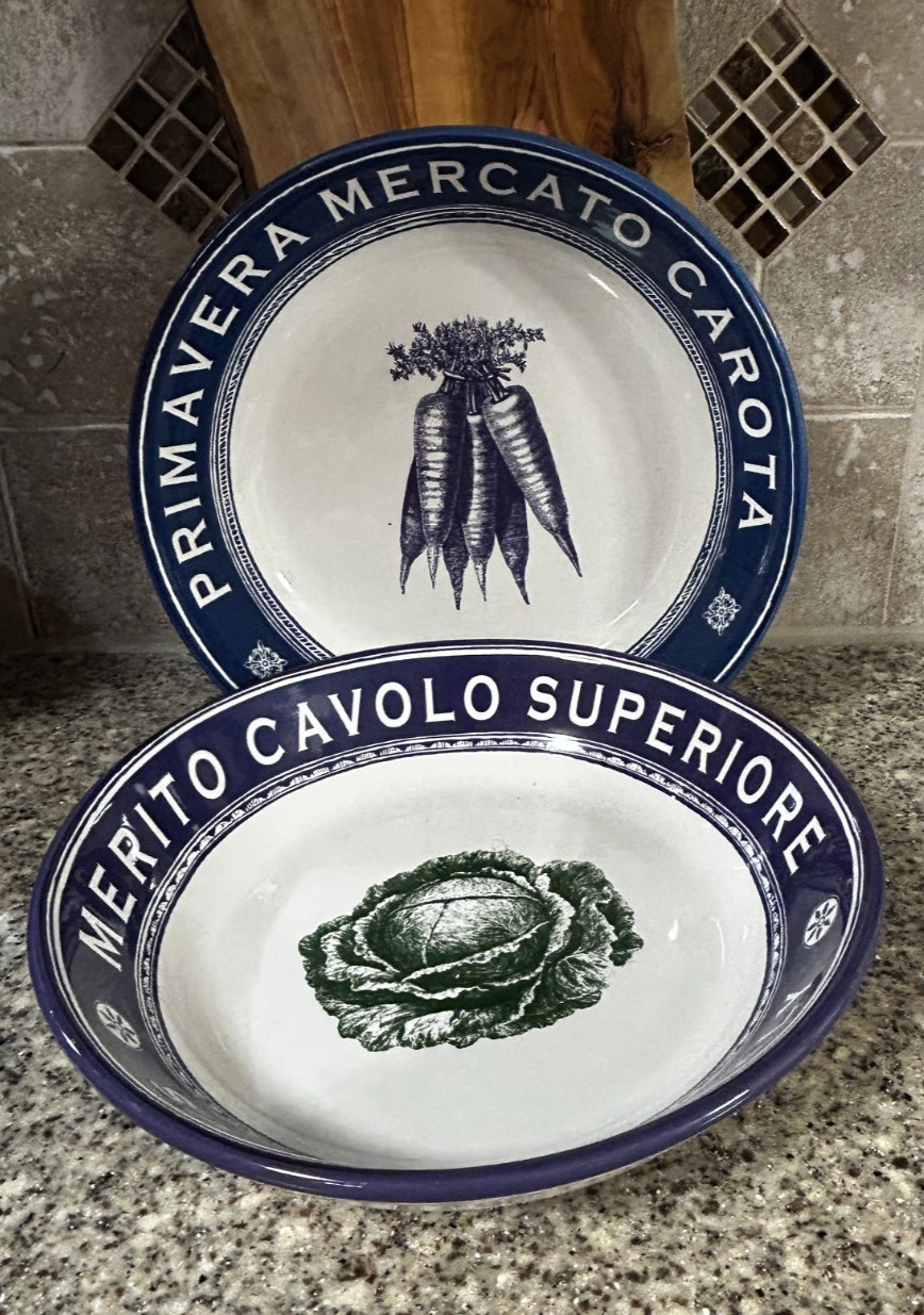 Certified International~Pasta Bowls~Tina Higgins~ 9”x 2” ~Pair
