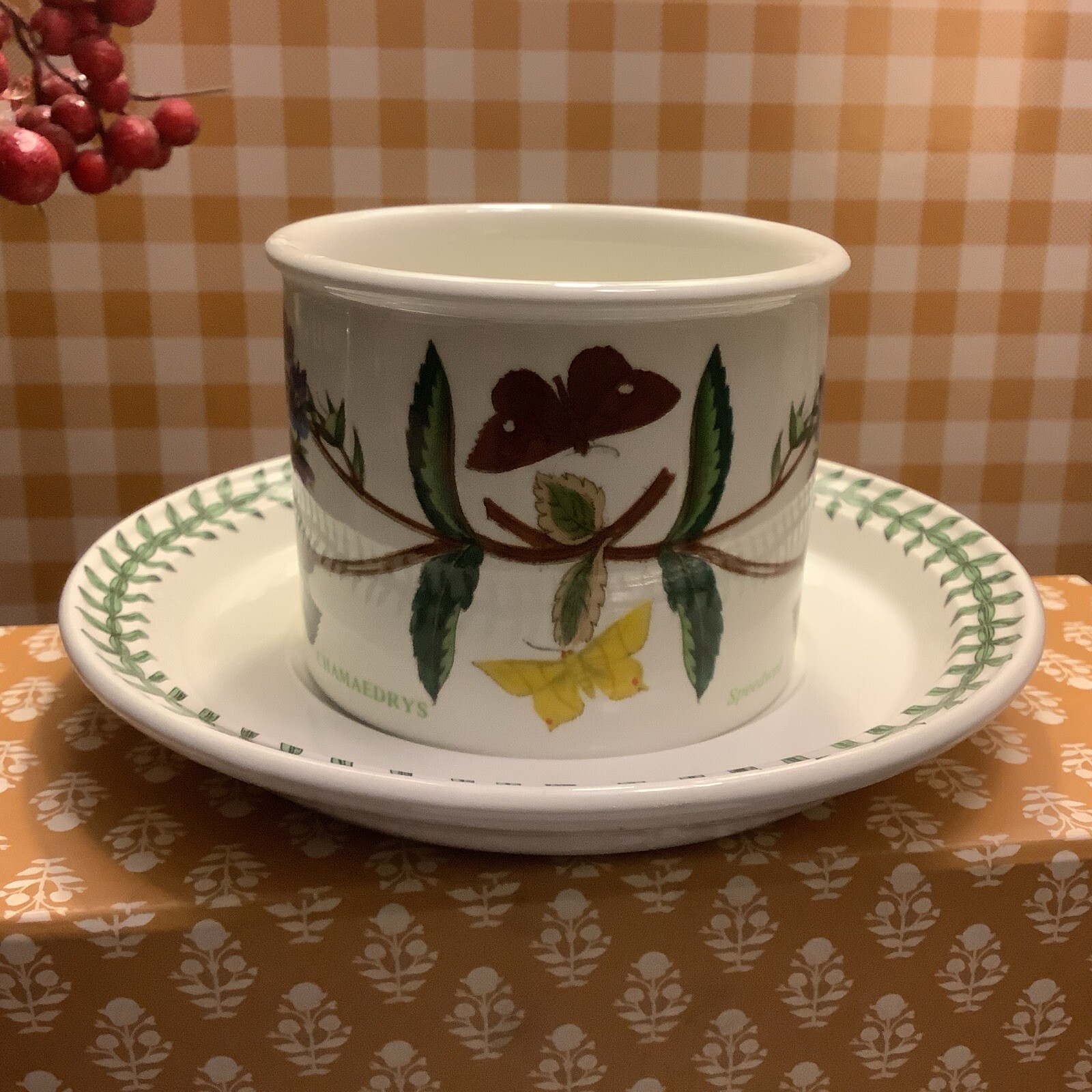 Portmeirion~Drum Flat Cup & Saucer~c 1972~Veronica Chamaedrys/Speedwell~England