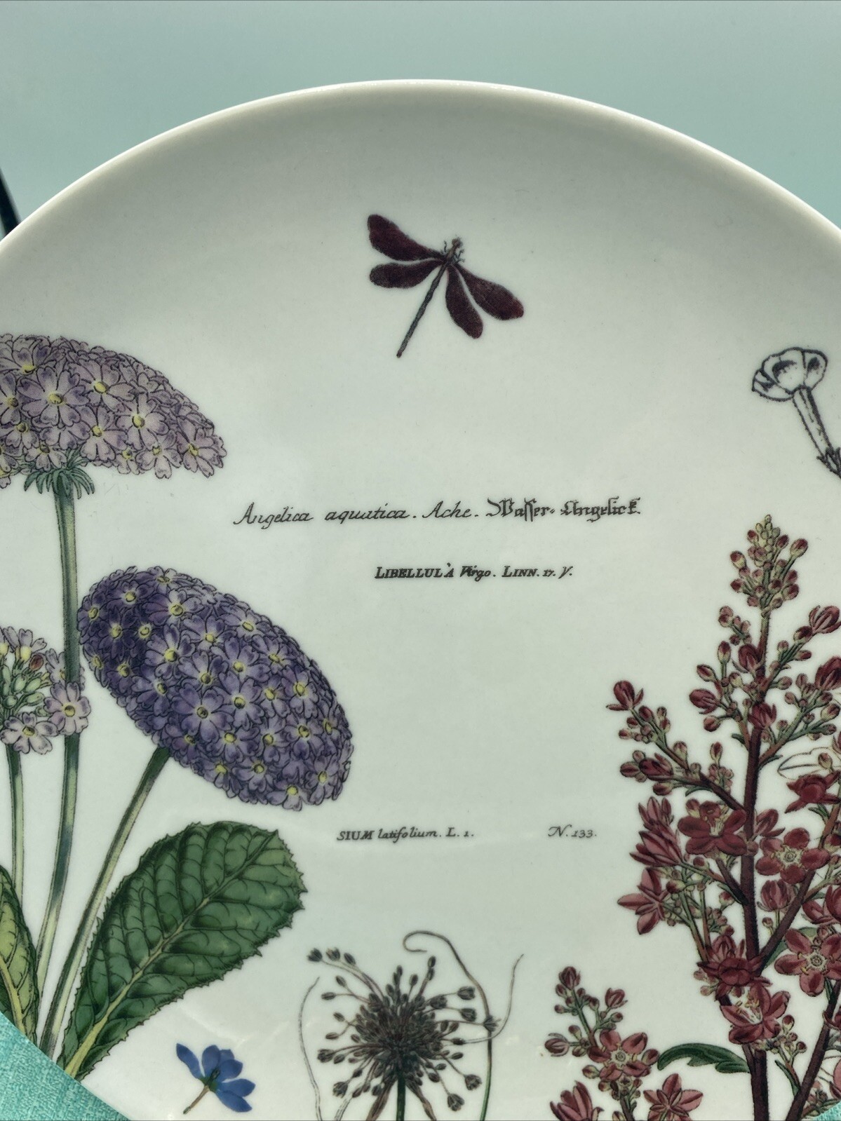 Rosanna 8” Botanical Garden Luncheon Plates~Antique Print 19th Century