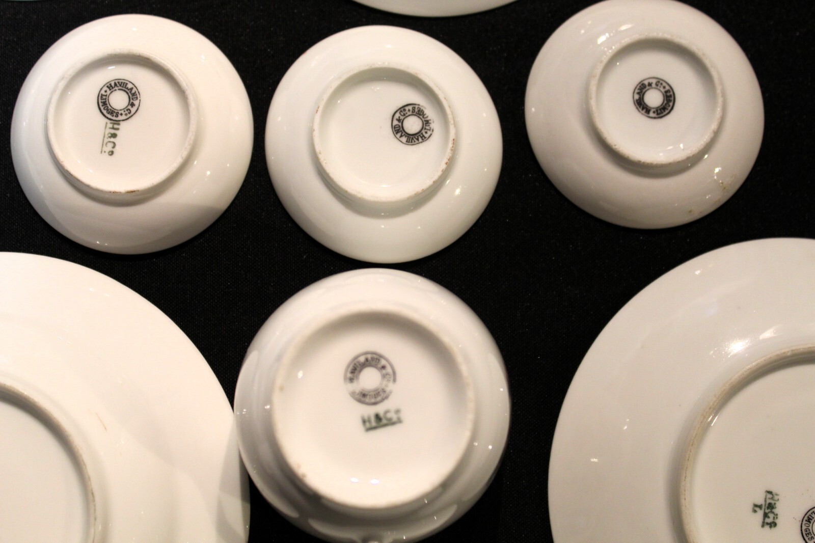 Haviland & Co Limoges Moss Rose Antique Twelve Piece Set