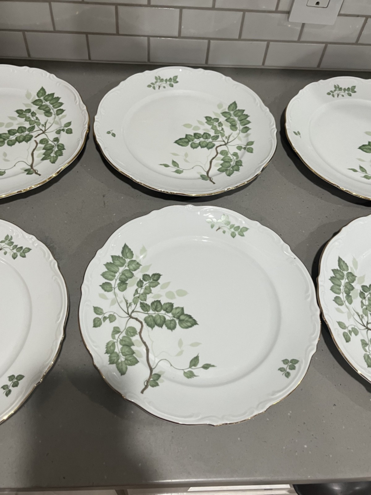 Mitterteich Germany Dinner Plate(s) GREEN LEAVES Bavaria Germany Gold Trim