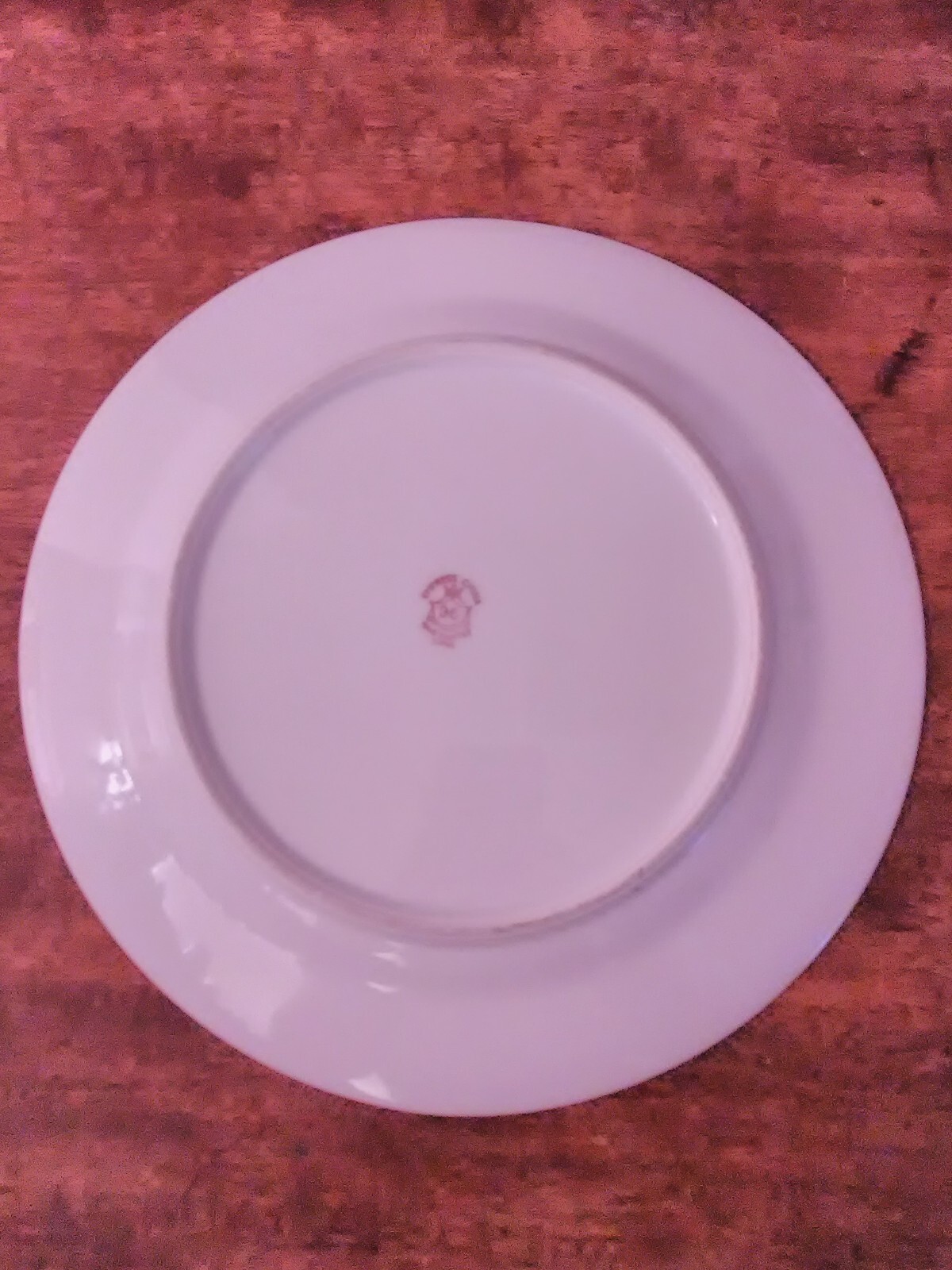 Empress EMP132 Dinnerware Set Japan (62 pieces) FREE Insurance
